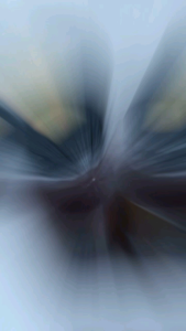 POWERMAXX BOOSTER//DOPING BURUNG/MAKANAN BURUNG