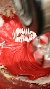 Cetakan Almond Crispy Termurah Lubang 12 9 6 Dan 3