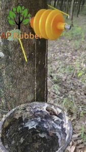 ชุดทดลองเจาะยางพารา 50 ชุด ต่อ50 ต้นยางพารา