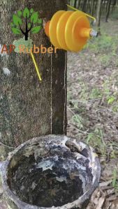 ขวดฮอร์โมนใช้ติดตั้งกับต้นยาง เพื่อเร่งน้ำยาพารา ชุด 300 ตัว ✅แถม ตัวตอก1หัวแปลง1ก๊าซเอทิลีน1กป.