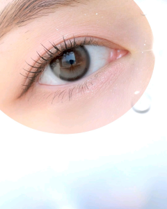 olens double tint gray monthly lens (import from korea)