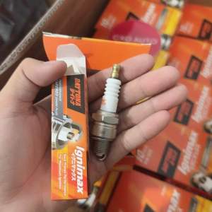 DAYTONA BP8HS BUSI RACING Motor CRF150L CRF250L CBR250R WR250F YZ250F RM Z250 DR Z400 DAYTONA JAPAN 3563