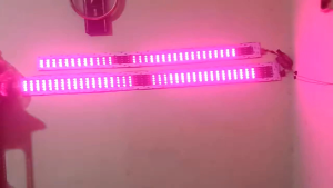 Modul Strobo Kaca Universal Automatis untuk Mobil - Car Kendaraan