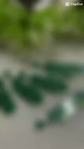 Cụm sạc thay thế Nokia 2.1 hàng chuẩn giá tốtcụm bo mạch sạc Nokia 2.1 hàng chuẩn giá tốt