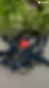 Cụm sạc thay thế Nokia 6.1plus | X6 hàng chuẩn giá tốt