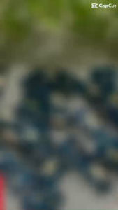 Cụm bo mạch sạc nokia 5.3 zin lk thay thế cụm sạc nokia 5.3 hàng chuẩn giá tốt