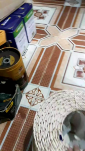 Dây giềng lưới - Dây thừng 3li 4li 5li cao cấp thương hiệu Con Ó (Eagle King)