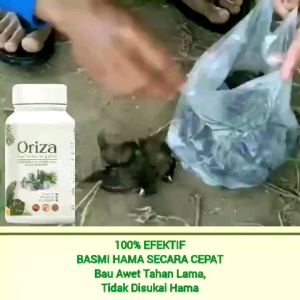 Pupuk Oriza Anti Hama 3 GRATIS 1 - Oriza Pupuk Pestisida Fungsida Insektisida Organik Pembasmi Hama