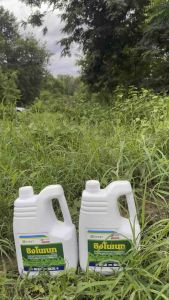 ฆ่าหญ้า กลูโฟซิเนต เผาไหม้ น้ำสีฟ้า แทน กรัมม็อกโซน หญ้าตาย เข้มข้นสูง ซิงโนเนท 4 ลิตร จากไต้หวัน