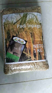 Jual BIBIT PADI INPAGO 13 LOKAL BERAS PUTIH 5 KG