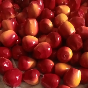 apel merah  hiasan piring artificial isi 6 premium