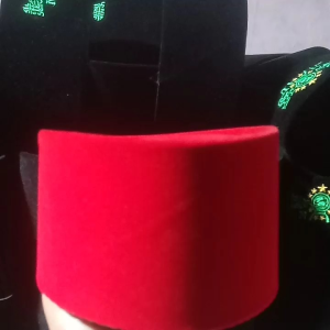 peci songkok presiden kopyah polos warna merah putih hijau biru AC. COCOK UNTUK PERSIAPAN PUASA JUGA LEBARAN BISA UNTUK ANAK ANAK DAN DEWASA MUSLIM
