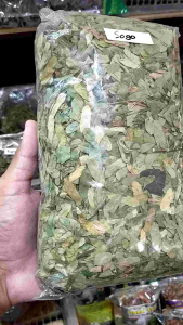 Daun Saga Kering, Sogo, & Seuge Oven: Manfaat & Cara Penggunaan