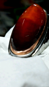 pandan merah unik sisik betok