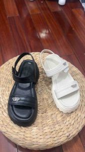 Dép quai hậu quai dán bản to 5 phân mẫu mới 2024 ( phom nhỏ mua tăng 1 sz)