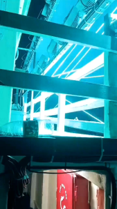 LAMPU LED 1000W LAMPU PENARIK CUMI DAN IKAN LAMPU HEMAT ENERGI CAHAYA KUNING & CYAN BIRU PUTIH