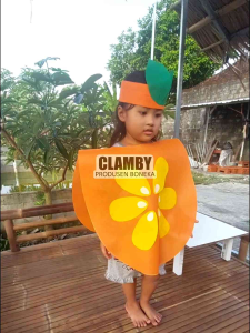 Kostum Karakter Buah Anak Ukuran Paud TK SD Untuk Karnaval Cosplay Acara Pesta Sekolah Anti Robek