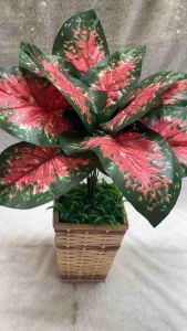 Tanaman hias tanaman dekorasi daun keladi merah  daun Sri rezeki artificial tanaman sintesis tanaman palsu