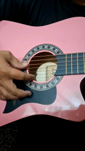 Davis Acoustic Guitar (Jg38c)