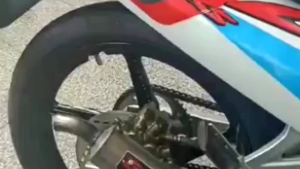 Knalpot Kolong Cobra Satria 2Tak RK Cool Warna Hitam Tahan Karat BM Power Cobra