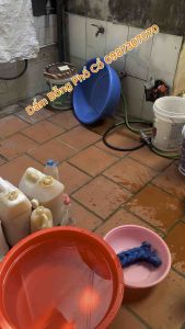 5 Lít Dấm Bỗng Nếp Cái Hoa Vàng Thơm Nức