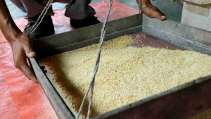 Jagung tapis halus untuk Anak ayam/puyuh/burung/hamster dan lain²