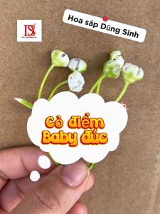 [ C445 ] ( Sỉ 500 GRAM ) Cỏ điểm baby đúc trang trí bó hoa giỏ quà làm vòng hoa đội đầu bayby