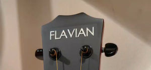Flavian Acoustic Guitar