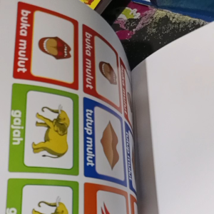 BUKU CARA PRAKTIS BELAJAR MEMBACA UNTUK ANAK 4-6 TAHUN CUKUP 10 MENIT SEHARI PLUS KARTU ABACAGA ORIGINAL BESLER