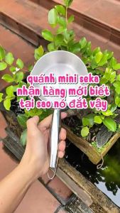 Quánh Inox 304 Seka 12cm Đúc Liền Khối Siêu Xinh Nấu Bột Nấu Cháo Tương Thích Mọi Loại Bếp