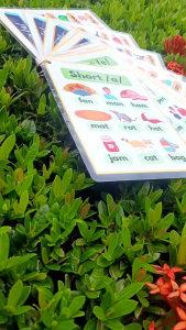 SHORT AND LONG VOWELS FLASHCARDS with pictures- 10 pieces laminated