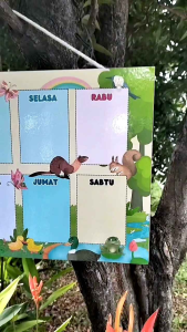 TATSBITA Pajangan Hiasan Dinding Dekorasi Wall Decor Jadwal Pelajaran Wipe & Clean Untuk Kelas Sekolah SD/SMP Ukuran 20x30cm
