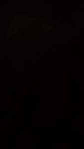 Cover Full Body Halus Yamaha Mio Sporty Golden Series Plus Stripping Bunga Transparan