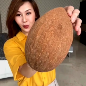 BIBIT TANAMAN SAWO SUPER JUMBO 🌱Asli Bobot Sawo Berkisar Antara 5 kg Per Buah. Jika Dibandingkan Sawo Lokal Pada Umumnya Tentu Ukuran ini Bisa Dibilang Super Paling Besar.Silakan Diorder Pemasanan Bisa COD Bayar Ditempat