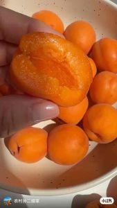 “New Season Australia Apricot – Sweet-Tart Soft & Super Juicy!” Small fruit big flavour — Australian quality!”