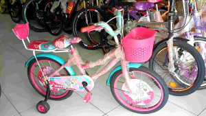 Sepeda mini anak 18 inch