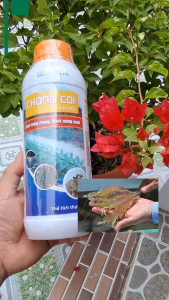 Dung Dịch Chống Còi Kích Mồi 1L - Siêu Tăng Trọng Thủy Sản Kích Thích Bắt Mồi Giảm FCR Cho Tôm Cá
