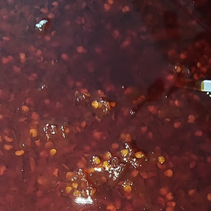 Sambal minyak cabe 150gram chilli oil viral  ( ISI 2 BOTOL ) untuk pasta masakan atau makanan siap saji pecinta pedas hot nampol