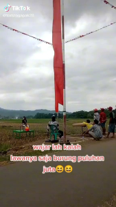 BENDERA MERPATI KOLONGAN 24 METER/BENDERA MERPATI TINGGI/BENDERA LATIHAN MERPATI