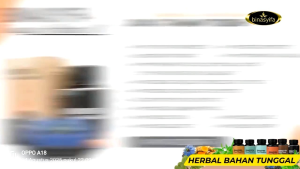 BINASYIFA KAPSUL HABBAT OIL - Minyak Habbatussauda Murni menjaga daya tahan tubuh