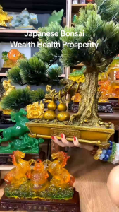 Feng Shui Pine Tree Double Wu Lou Business Wealth Money Tree Money Magnet Figurine No ratings yet 0 Sold