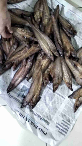 Ikan Salai Selais Asli Dari Sungai Kampar Riau