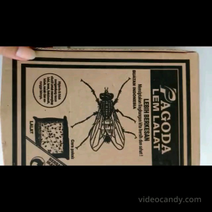 SHB - LLT 10 Lem Papan kertas Lalat Kecoa Cicak Cap LOWE Sakti Glue Pad