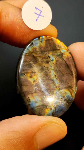 ลาบลาดอไลท์ ทรงหลังเบี้ย🔸Labradorite