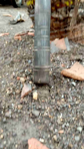 66rekomendasi sabit rumput motif