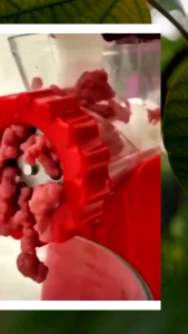 Alat Penggiling Daging - Manual