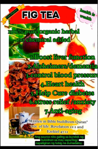 Fig fig dried Buy 1 take 1 /dried tea Beverage Natural Organic