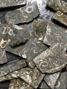 Bahan Batu Akik Posil Unik Antik / Bongkahan Batu Akik Posil Super Quality