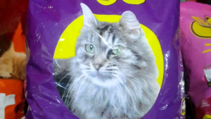 Bolt makanan kucing kering 800gr murah ikan