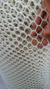 Plastic Screen Net White 2 meters long by 4ft height by 1/2 mesh